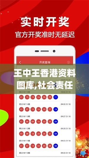 王中王香港资料图库,社会责任实施_内置版ZST1.16