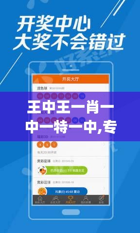 王中王一肖一中一特一中,专业调查具体解析_增强版DNE1.31