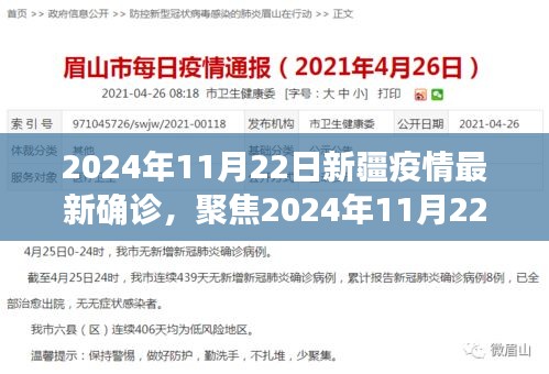 2024年11月22日新疆疫情最新确诊分析与深度观察