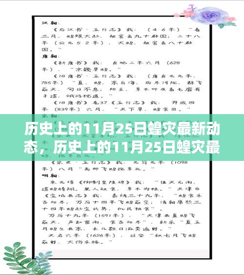 历史上的11月25日蝗灾深度解析与最新动态报告