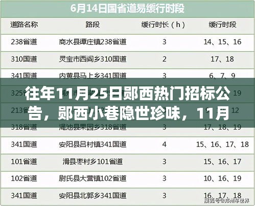 郧西11月25日招标公告背后的独特风味故事，小巷珍馐与招标热点一览