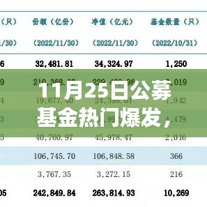 揭秘，11月25日公募基金市场爆发背后的热门基金表现与影响分析