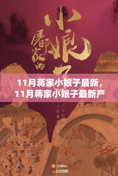 11月蒋家小娘子最新产品评测报告，全面解读新品特性与体验