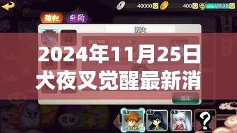 犬夜叉觉醒新篇章揭晓，友情与陪伴的温暖瞬间（2024年11月25日）