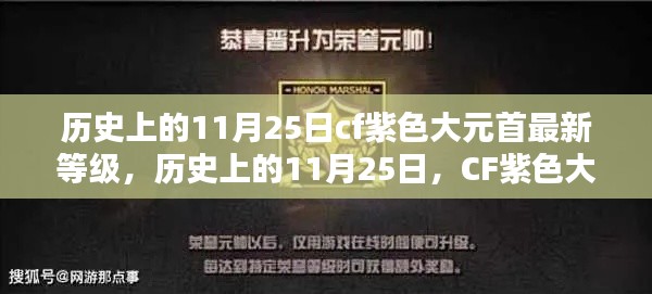 历史上的11月25日，CF紫色大元首最新等级揭秘