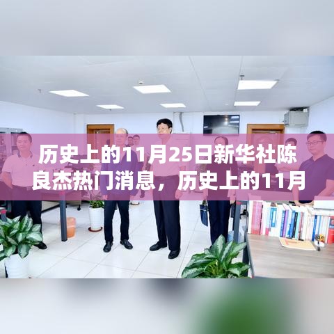 历史上的11月25日新华社陈良杰热门消息全解析，深入了解每一步发展