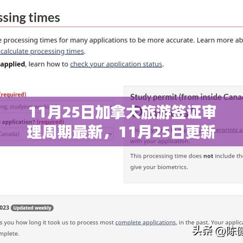 加拿大旅游签证审理周期最新动态（11月25日更新）