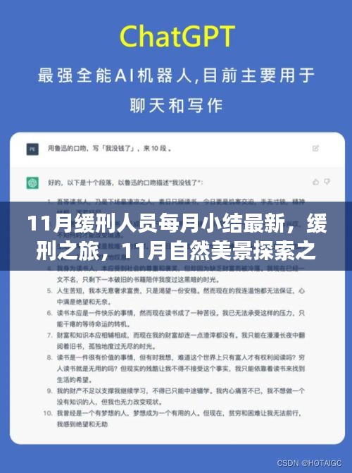 11月缓刑人员自然探索之旅，内心宁静与平和的追寻