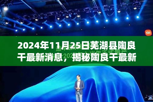 揭秘陶良干最新动态，芜湖县最新消息获取指南（2024年11月25日）