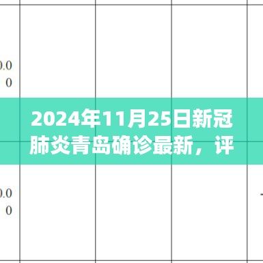 青岛新冠肺炎确诊最新情况分析（截至2024年11月25日）评测报告