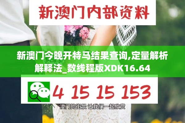 新澳门今晚开特马结果查询,定量解析解释法_数线程版XDK16.64