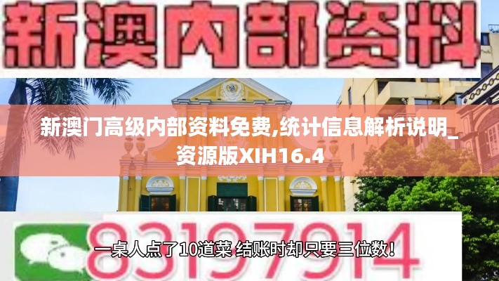 新澳门高级内部资料免费,统计信息解析说明_资源版XIH16.4