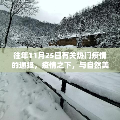 疫情下的自然奇遇，心灵之旅远离尘嚣