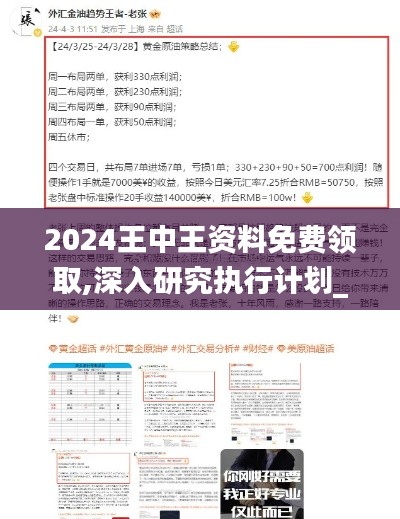 2024王中王资料免费领取,深入研究执行计划_创意设计版WXF16.93