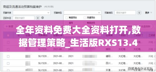全年资料免费大全资料打开,数据管理策略_生活版RXS13.4