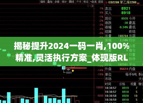 揭秘提升2024一码一肖,100%精准,灵活执行方案_体现版RLH16.20