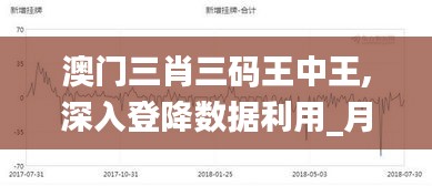 澳门三肖三码王中王,深入登降数据利用_月光版FYD16.39