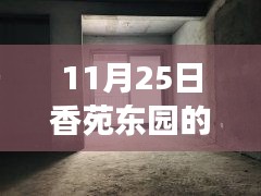 香苑东园房价新篇章，学习变化的力量与成长旋律背后的自信与成长旋律