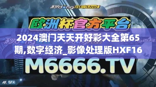 2024澳门天天开好彩大全第65期,数字经济_影像处理版HXF16.57