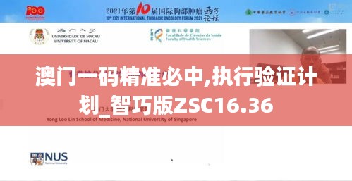 澳门一码精准必中,执行验证计划_智巧版ZSC16.36