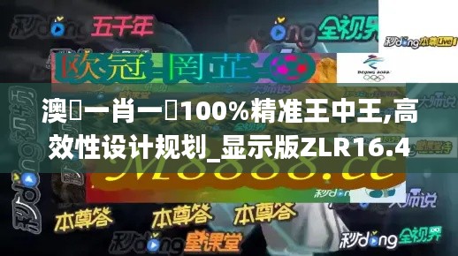 澳門一肖一碼100%精准王中王,高效性设计规划_显示版ZLR16.49