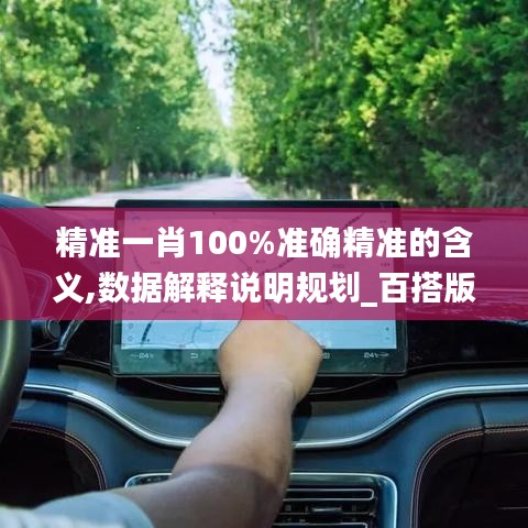 精准一肖100%准确精准的含义,数据解释说明规划_百搭版KKU13.97