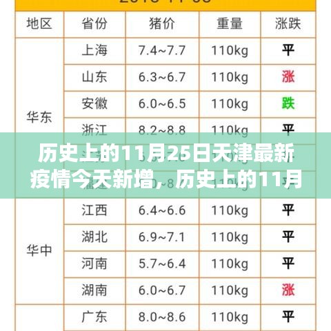 天津疫情历史回顾与今日新增深度分析，个人观点与疫情动态观察报告（11月25日）