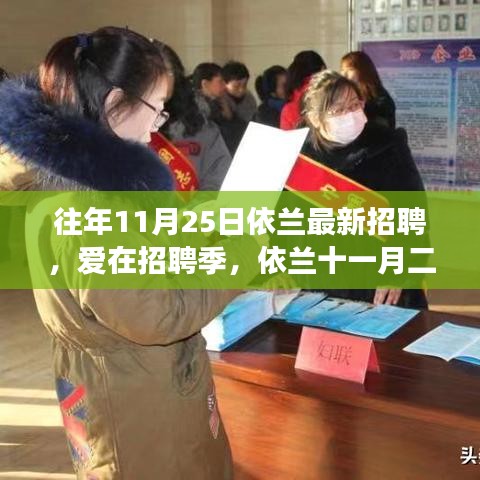 依兰招聘季，爱在十一月二十五日的求职之旅