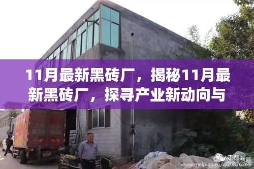 揭秘，11月最新黑砖厂产业动向与发展前景探索