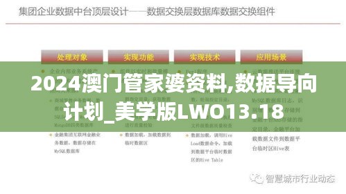 2024澳门管家婆资料,数据导向计划_美学版LWO13.18