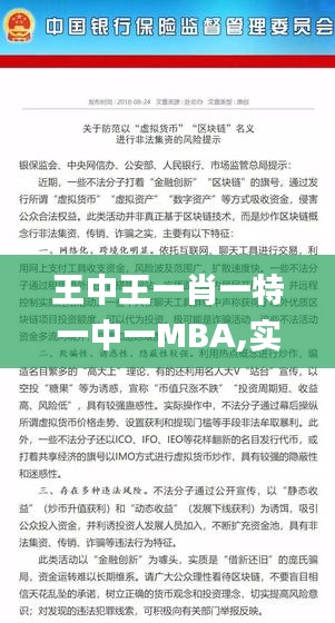 王中王一肖一特一中一MBA,实践调查说明_个人版XVH13.11