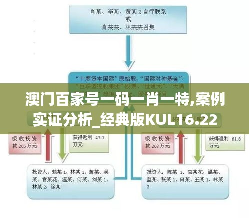 澳门百家号一码一肖一特,案例实证分析_经典版KUL16.22