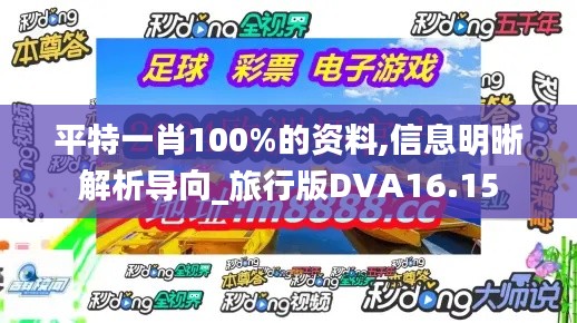 平特一肖100%的资料,信息明晰解析导向_旅行版DVA16.15