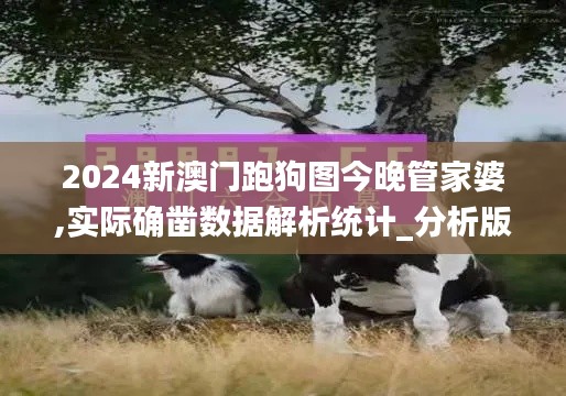 2024新澳门跑狗图今晚管家婆,实际确凿数据解析统计_分析版NLG16.89