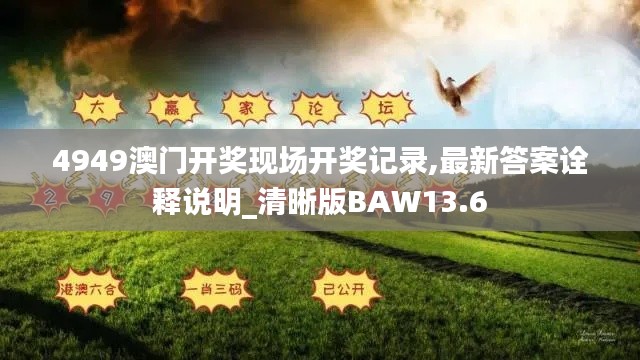 4949澳门开奖现场开奖记录,最新答案诠释说明_清晰版BAW13.6