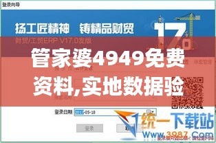 管家婆4949免费资料,实地数据验证_流线型版YIN13.38