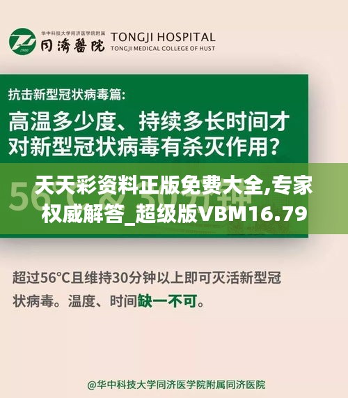 天天彩资料正版免费大全,专家权威解答_超级版VBM16.79