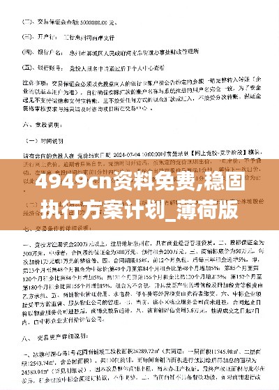 4949cn资料免费,稳固执行方案计划_薄荷版DAL13.22