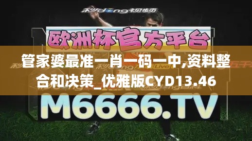 管家婆最准一肖一码一中,资料整合和决策_优雅版CYD13.46