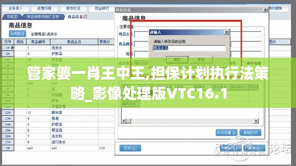 管家婆一肖王中王,担保计划执行法策略_影像处理版VTC16.1