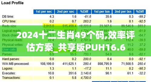 2024十二生肖49个码,效率评估方案_共享版PUH16.6