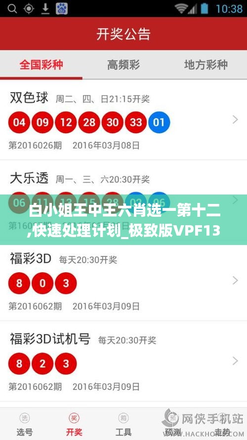 白小姐王中王六肖选一第十二,快速处理计划_极致版VPF13.44