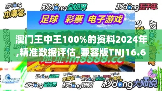 澳门王中王100%的资料2024年,精准数据评估_兼容版TNJ16.69