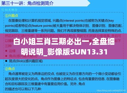 白小姐三肖三期必出一,全盘细明说明_影像版SUN13.31