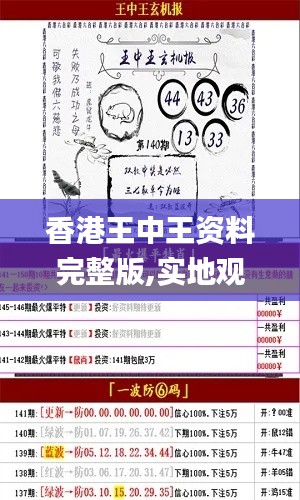 香港王中王资料完整版,实地观察解释定义_设计师版IPR13.15