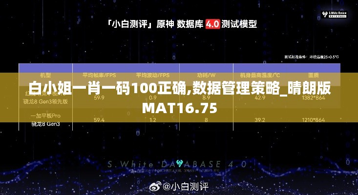 白小姐一肖一码100正确,数据管理策略_晴朗版MAT16.75