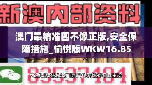 澳门最精准四不像正版,安全保障措施_愉悦版WKW16.85