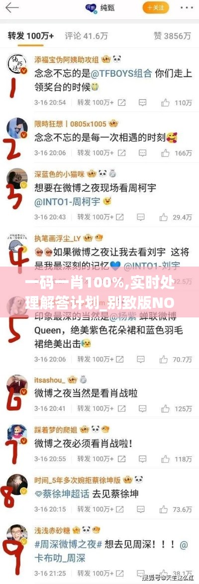 一码一肖100%,实时处理解答计划_别致版NOE13.71