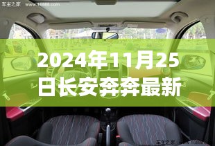 长安奔奔最新报价揭秘，开启自然之旅，探寻心灵宁静的港湾