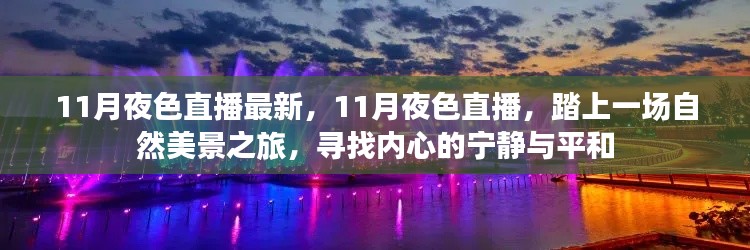 11月夜色直播，自然美景之旅，探寻内心宁静与平和